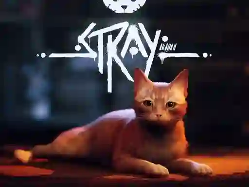 Oyunu Stray çevrimiçi