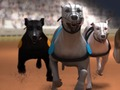 Oyunu Greyhound yarışı çevrimiçi