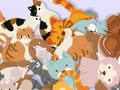 Oyunu Kitty'yi bulun  çevrimiçi