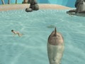 Oyunu Shark Simülatörü Beach Killer  çevrimiçi