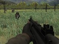 Oyunu Dino Hayatta Kalma  çevrimiçi