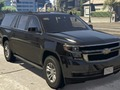 Oyunu Chevrolet Suburban Farklılıkları  çevrimiçi