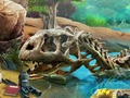 Oyunu Jurassic Gölü çevrimiçi