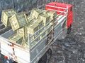 Oyunu Offroad Kamyon Şoförü  çevrimiçi