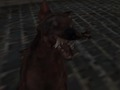 Oyunu Nazi Zombi Ordusu  çevrimiçi