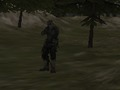 Oyunu FPS Ajansı: Orman  çevrimiçi