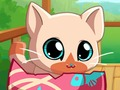 Oyunu Benim cep evcil hayvan kedisi kedi  çevrimiçi