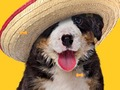 Oyunu Komik Köpek: Gizli Kemikler  çevrimiçi