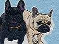 Oyunu Köpek Bulmacası Zamanı çevrimiçi
