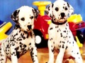 Oyunu Yavru Köpekler Eşleştirme Bulmacası çevrimiçi