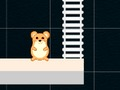 Oyunu Akıllı Hamster Zamanı  çevrimiçi