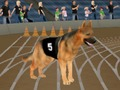 Oyunu Çılgın Köpek Yarış Alevi çevrimiçi