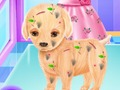 Oyunu Bebek Elsa Yavru Köpek Ameliyatı çevrimiçi