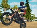 Oyunu Dirt Bike Enduro Yarışı  çevrimiçi
