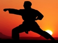 Oyunu Karate Gün Batımı Savaşçıları  çevrimiçi