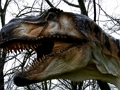 Oyunu T-Rex Dinozor Yapboz  çevrimiçi