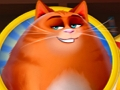 Oyunu Kedi Kargaşası çevrimiçi
