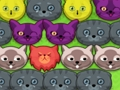 Oyunu Pop-pop kedileri çevrimiçi