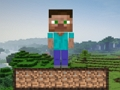 Oyunu Minecraft Hayatta Kalma  çevrimiçi