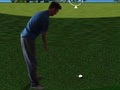 Oyunu Flash Golf 3D  çevrimiçi