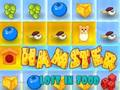 Oyunu Yemekte Kaybolmuş Hamster çevrimiçi