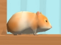 Oyunu Hamster Labirent Çevrimiçi  çevrimiçi