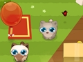 Oyunu Pet Yuvarlama  çevrimiçi