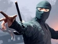 Oyunu Ninja'ya dokunun  çevrimiçi