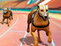 Oyunu Köpekler 3D Yarışları  çevrimiçi