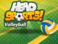 Oyunu Baş Spor Voleybolu çevrimiçi