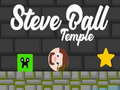 Oyunu Steve Topu Tapınağı  çevrimiçi