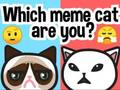 Oyunu Hangi meme kedisisin? çevrimiçi