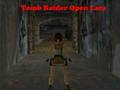 Oyunu Tomb Raider Açık Lara  çevrimiçi