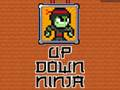 Oyunu Yukarı Aşağı Ninja  çevrimiçi