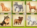 Oyunu Köpekler Hafıza  çevrimiçi