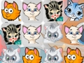 Oyunu Yavru kedi maç3  çevrimiçi