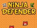 Oyunu Ninja Savunucusu  çevrimiçi