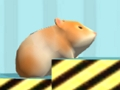 Oyunu Hamster Onaylamak için  çevrimiçi