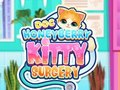 Oyunu Doktor HoneyBerry Kitty Ameliyatı  çevrimiçi