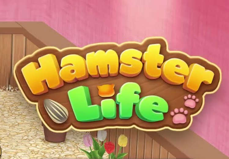 Oyunu Hamster Yaşam Bulmacası  çevrimiçi