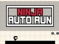 Oyunu Ninja Otomatik Çalıştırma  çevrimiçi