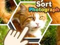 Oyunu Fotoğraf Sırala çevrimiçi