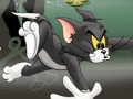Oyunu Tom ve Jerry Chase Marsh'da  çevrimiçi