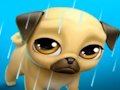 Oyunu Sanal Evcil Hayvanım Pug Louie  çevrimiçi