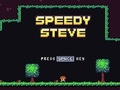 Oyunu Hızlı Steve  çevrimiçi