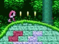 Oyunu Sonic 2'de Mighty ve Ray  çevrimiçi
