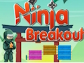 Oyunu Ninja Kaçışı  çevrimiçi