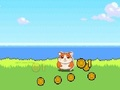 Oyunu Hamster Kombat Tıklayıcısı  çevrimiçi