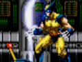 Oyunu Wolverine - Adamantium Öfkesi  çevrimiçi