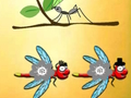 Oyunu Dragonfly Cooper'ı bulun  çevrimiçi